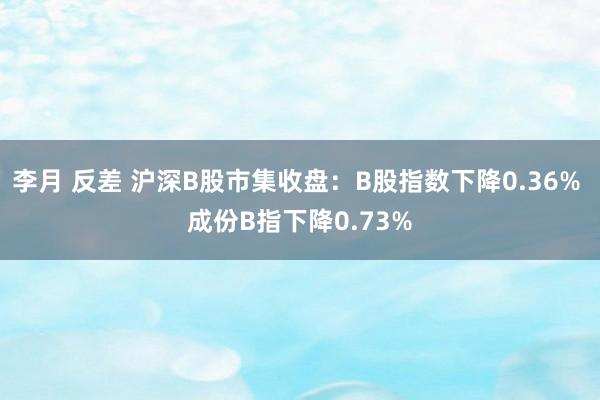 李月 反差 沪深B股市集收盘：B股指数下降0.36% 成份B指下降0.73%