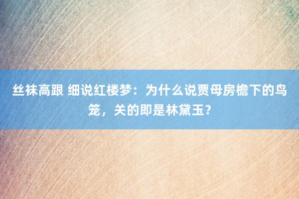 丝袜高跟 细说红楼梦：为什么说贾母房檐下的鸟笼，关的即是林黛玉？