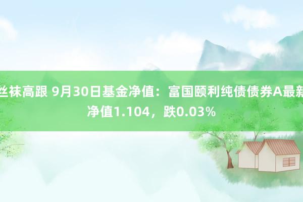 丝袜高跟 9月30日基金净值：富国颐利纯债债券A最新净值1.104，跌0.03%