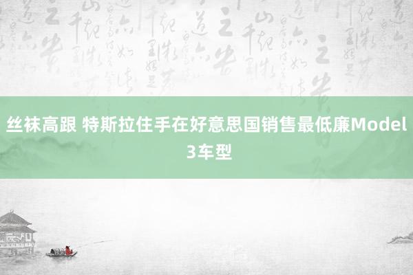 丝袜高跟 特斯拉住手在好意思国销售最低廉Model 3车型