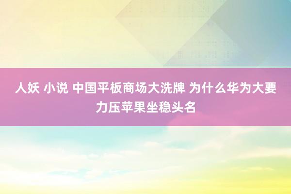 人妖 小说 中国平板商场大洗牌 为什么华为大要力压苹果坐稳头名