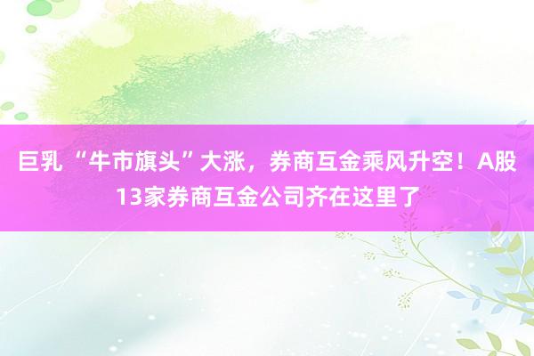 巨乳 “牛市旗头”大涨，券商互金乘风升空！A股13家券商互金公司齐在这里了