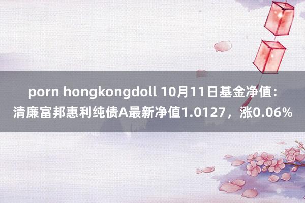 porn hongkongdoll 10月11日基金净值：清廉富邦惠利纯债A最新净值1.0127，涨0.06%