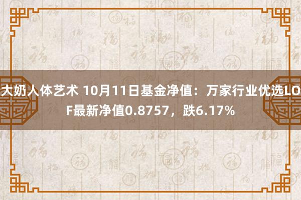 大奶人体艺术 10月11日基金净值：万家行业优选LOF最新净值0.8757，跌6.17%