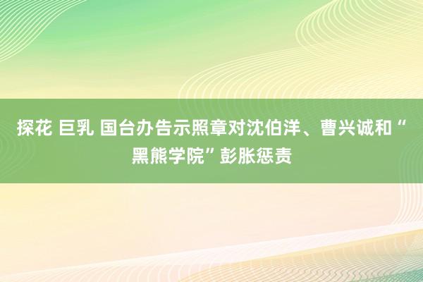 探花 巨乳 国台办告示照章对沈伯洋、曹兴诚和“黑熊学院”彭胀惩责