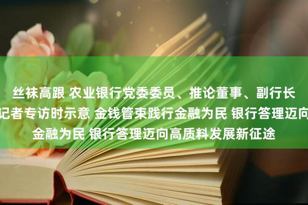 丝袜高跟 农业银行党委委员、推论董事、副行长林立接纳证券时报记者专访时示意 金钱管束践行金融为民 银行答理迈向高质料发展新征途