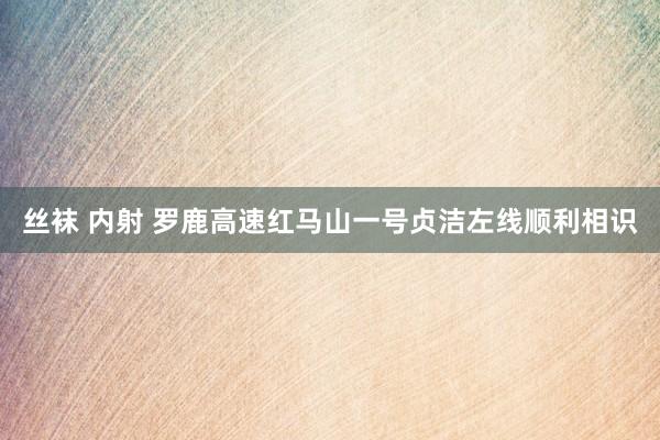 丝袜 内射 罗鹿高速红马山一号贞洁左线顺利相识