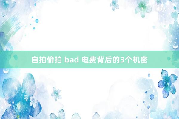 自拍偷拍 bad 电费背后的3个机密