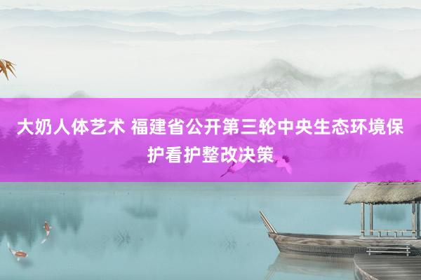 大奶人体艺术 福建省公开第三轮中央生态环境保护看护整改决策