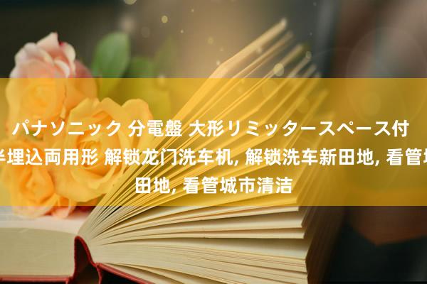 パナソニック 分電盤 大形リミッタースペース付 露出・半埋込両用形 解锁龙门洗车机， 解锁洗车新田地， 看管城市清洁