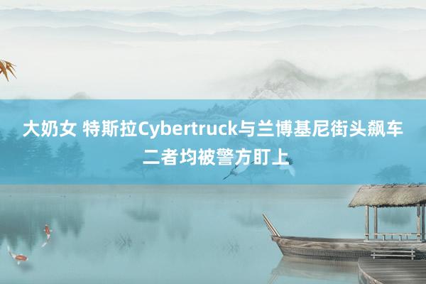 大奶女 特斯拉Cybertruck与兰博基尼街头飙车 二者均被警方盯上