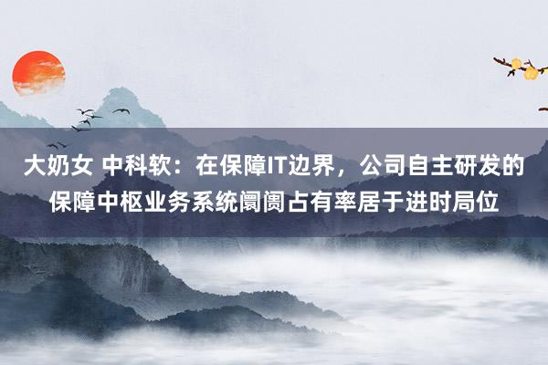 大奶女 中科软：在保障IT边界，公司自主研发的保障中枢业务系统阛阓占有率居于进时局位