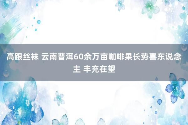 高跟丝袜 云南普洱60余万亩咖啡果长势喜东说念主 丰充在望