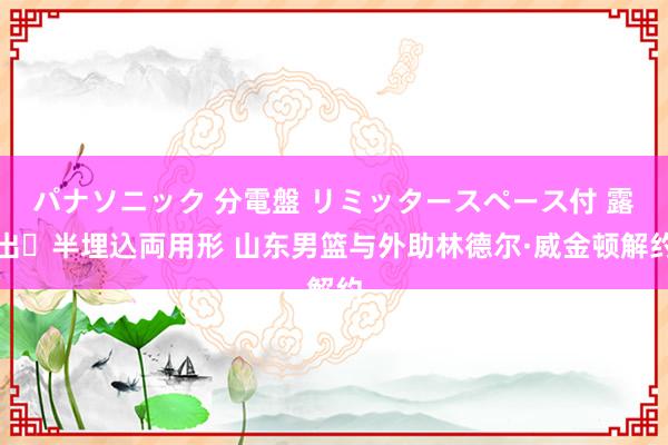 パナソニック 分電盤 リミッタースペース付 露出・半埋込両用形 山东男篮与外助林德尔·威金顿解约