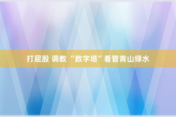 打屁股 调教 “数字塔”看管青山绿水