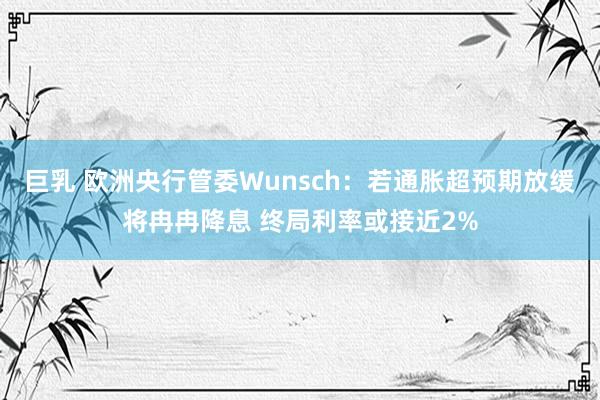 巨乳 欧洲央行管委Wunsch：若通胀超预期放缓将冉冉降息 终局利率或接近2%