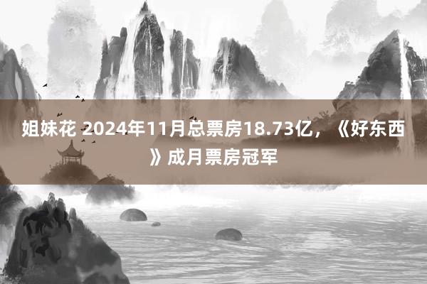 姐妹花 2024年11月总票房18.73亿，《好东西》成月票房冠军