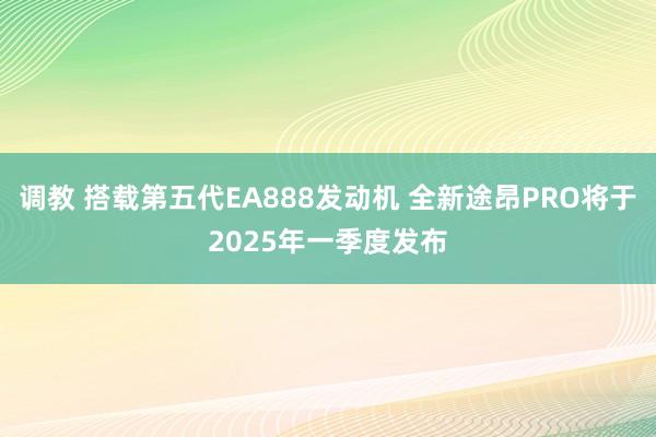 调教 搭载第五代EA888发动机 全新途昂PRO将于2025年一季度发布