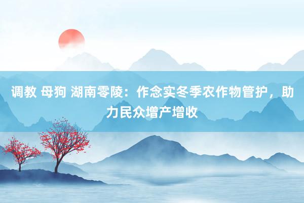 调教 母狗 湖南零陵：作念实冬季农作物管护，助力民众增产增收