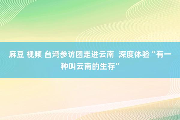 麻豆 视频 台湾参访团走进云南  深度体验“有一种叫云南的生存”