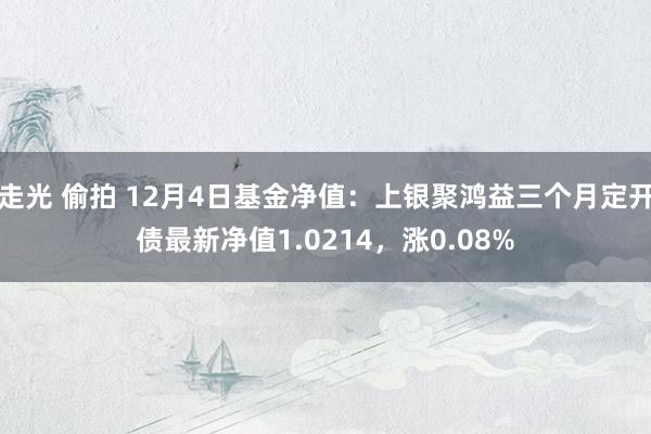 走光 偷拍 12月4日基金净值：上银聚鸿益三个月定开债最新净值1.0214，涨0.08%