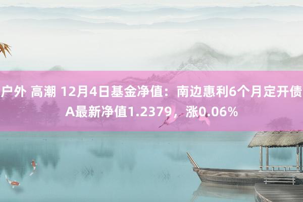 户外 高潮 12月4日基金净值：南边惠利6个月定开债A最新净值1.2379，涨0.06%