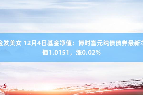 金发美女 12月4日基金净值：博时富元纯债债券最新净值1.0151，涨0.02%