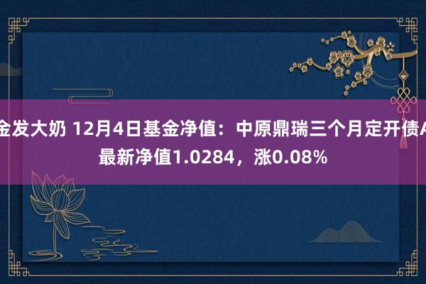 金发大奶 12月4日基金净值：中原鼎瑞三个月定开债A最新净值1.0284，涨0.08%