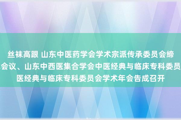 丝袜高跟 山东中医药学会学术宗派传承委员会缔造大会暨第一届学术会议、山东中西医集合学会中医经典与临床专科委员会学术年会告成召开