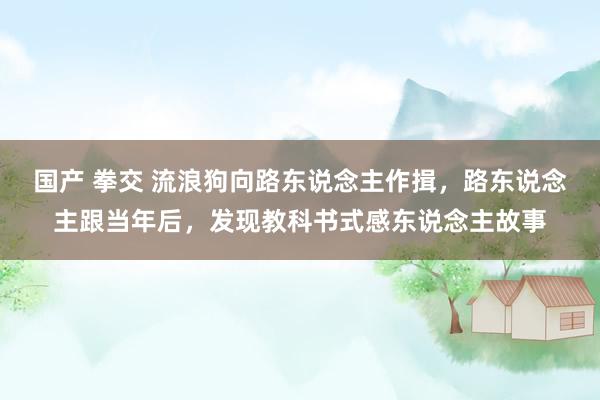 国产 拳交 流浪狗向路东说念主作揖，路东说念主跟当年后，发现教科书式感东说念主故事