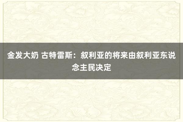 金发大奶 古特雷斯：叙利亚的将来由叙利亚东说念主民决定