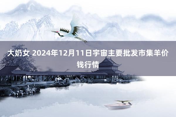 大奶女 2024年12月11日宇宙主要批发市集羊价钱行情