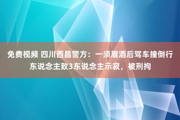 免费视频 四川西昌警方：一须眉酒后驾车撞倒行东说念主致3东说念主示寂，被刑拘