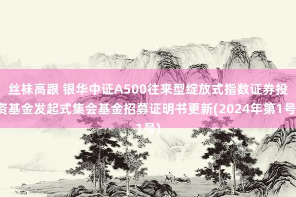 丝袜高跟 银华中证A500往来型绽放式指数证券投资基金发起式集会基金招募证明书更新(2024年第1号)