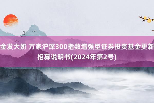 金发大奶 万家沪深300指数增强型证券投资基金更新招募说明书(2024年第2号)