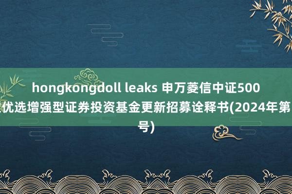 hongkongdoll leaks 申万菱信中证500指数优选增强型证券投资基金更新招募诠释书(2024年第1号)