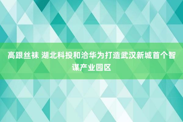 高跟丝袜 湖北科投和洽华为打造武汉新城首个智谋产业园区