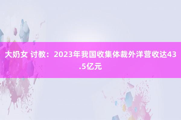 大奶女 讨教：2023年我国收集体裁外洋营收达43.5亿元