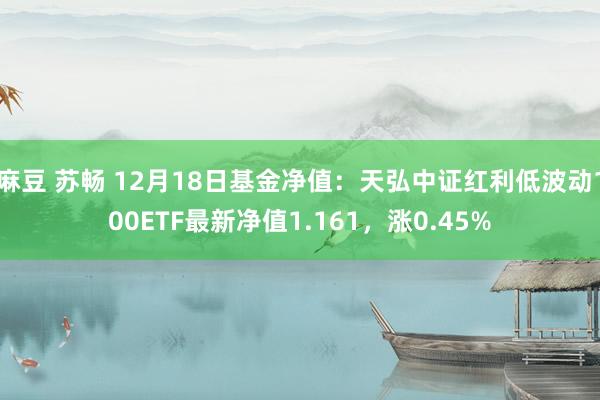 麻豆 苏畅 12月18日基金净值：天弘中证红利低波动100ETF最新净值1.161，涨0.45%