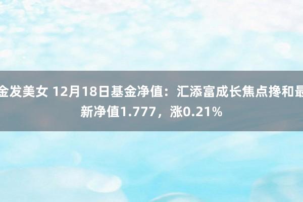 金发美女 12月18日基金净值：汇添富成长焦点搀和最新净值1.777，涨0.21%