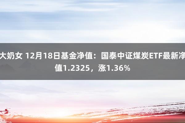 大奶女 12月18日基金净值：国泰中证煤炭ETF最新净值1.2325，涨1.36%