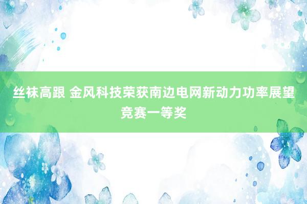 丝袜高跟 金风科技荣获南边电网新动力功率展望竞赛一等奖