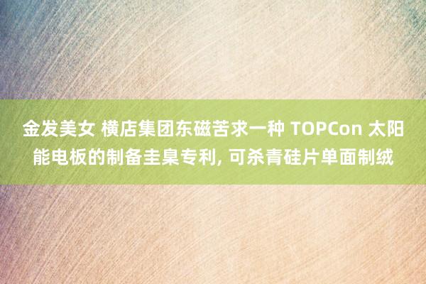 金发美女 横店集团东磁苦求一种 TOPCon 太阳能电板的制备圭臬专利， 可杀青硅片单面制绒