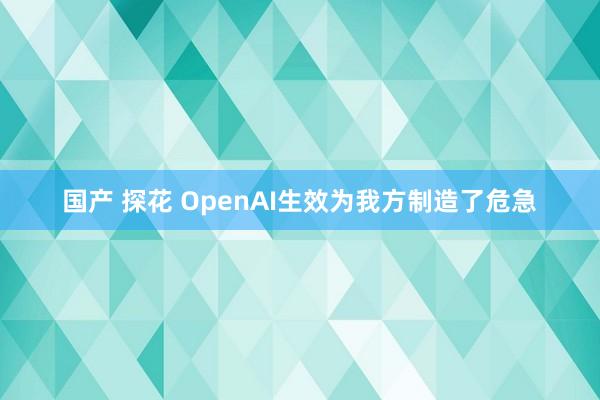 国产 探花 OpenAI生效为我方制造了危急