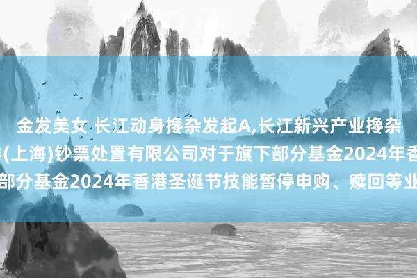 金发美女 长江动身搀杂发起A，长江新兴产业搀杂型发起式A: 长江证券(上海)钞票处置有限公司对于旗下部分基金2024年香港圣诞节技能暂停申购、赎回等业务的公告