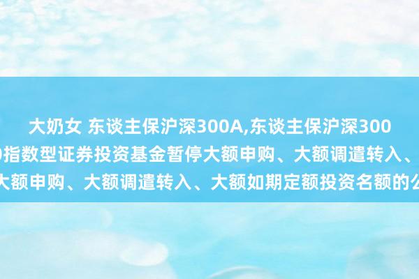 大奶女 东谈主保沪深300A，东谈主保沪深300C: 对于东谈主保沪深300指数型证券投资基金暂停大额申购、大额调遣转入、大额如期定额投资名额的公告