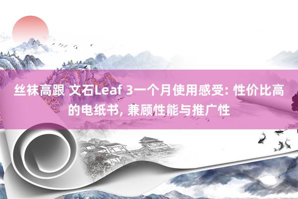 丝袜高跟 文石Leaf 3一个月使用感受: 性价比高的电纸书， 兼顾性能与推广性