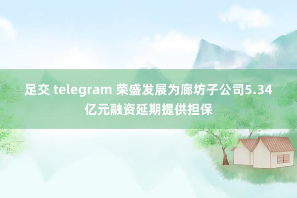 足交 telegram 荣盛发展为廊坊子公司5.34亿元融资延期提供担保