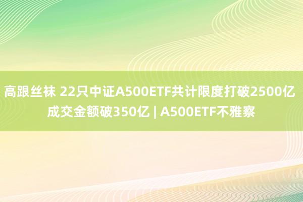 高跟丝袜 22只中证A500ETF共计限度打破2500亿 成交金额破350亿 | A500ETF不雅察