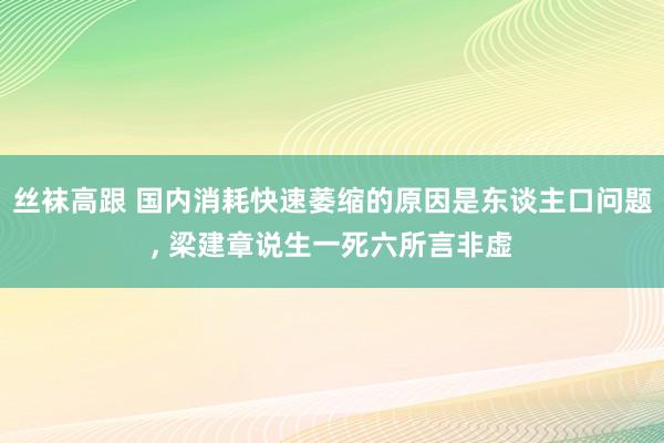 丝袜高跟 国内消耗快速萎缩的原因是东谈主口问题， 梁建章说生一死六所言非虚